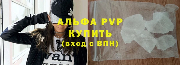прущие грибы Магас