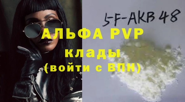 прущие грибы Магас