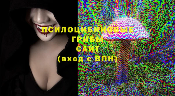 сатива Медногорск