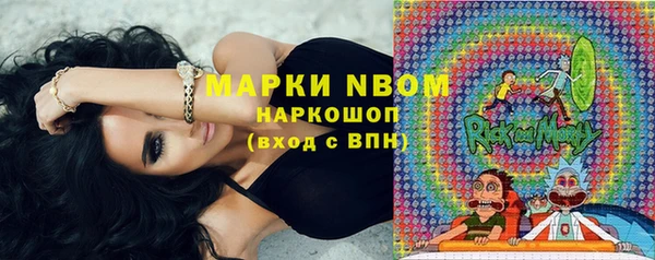 прущие грибы Магас