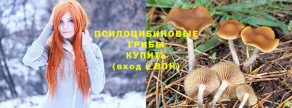 винт Мегион