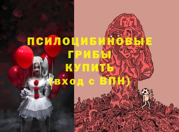 прущие грибы Магас